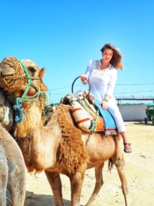 Camel And Tynisia